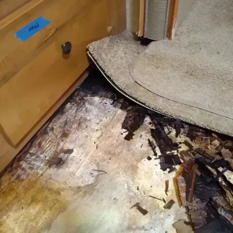 Wood Floor Water Damage in Pleasant Valley, MO